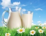 חלב מלא מדוע?